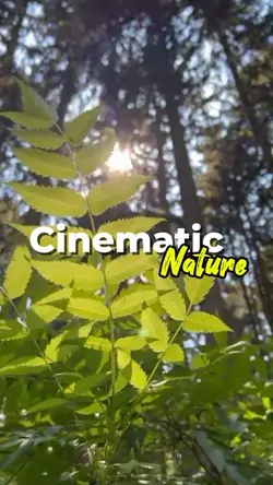cinematic nature