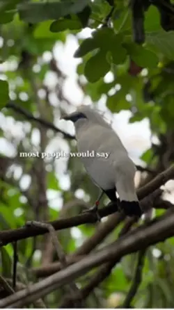 Agree 