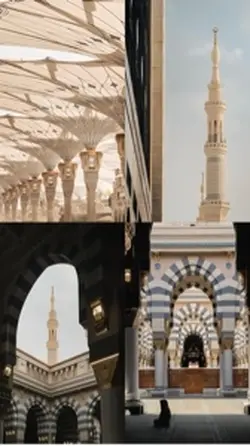 Quran recitation 