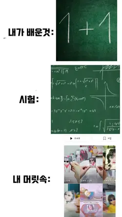 시험