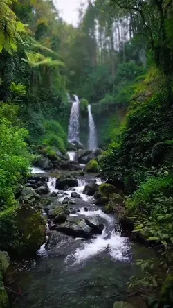 nature vibes