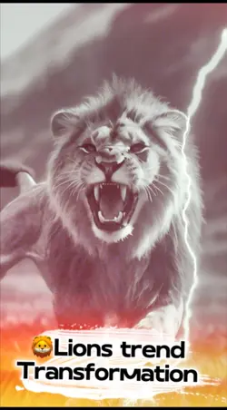 For you 🦁 
