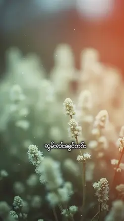 သႂ်ႇၶႅပ်းႁၢင်ႈသူ 1
