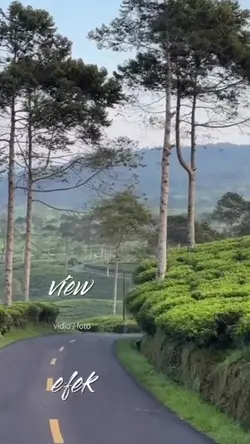 view keren