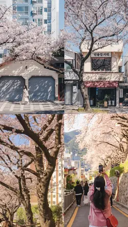 봄이 왔어요!🌸🌸🌸