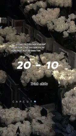 20 - 10 