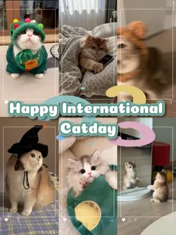 Happy Catday