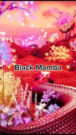 mv black mamba 