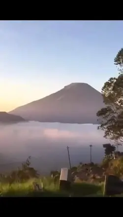 TANPA SUARA 
