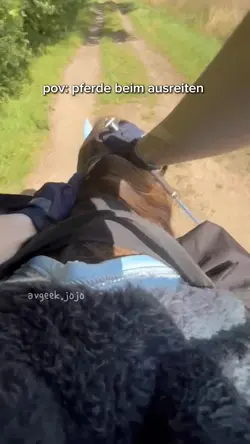 pov: ausreiten 