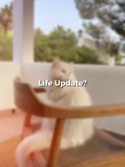 LIFE UPDATE?