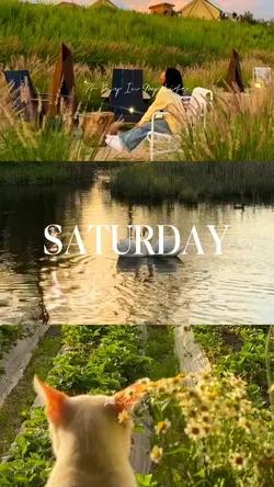 Saturday