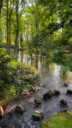 Nature vibes