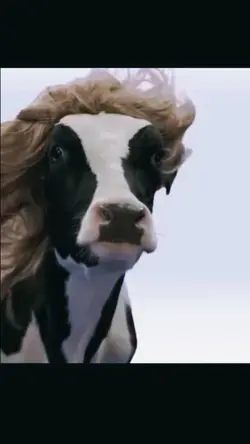 pov memimpikan mama