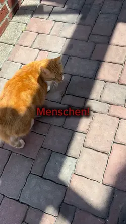 Menschen