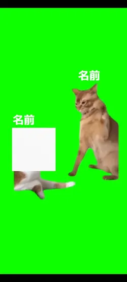嫌いな人の顔をいれて