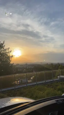 🕊️