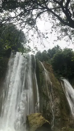 Falls