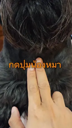 กดปุ่มสัตว์เลี้ยง