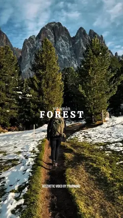 forest 