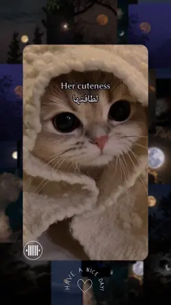 تصميم حب🥲🤎