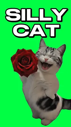 SILLY CAT MEME