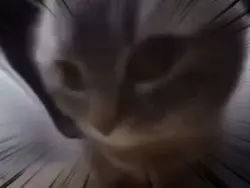 ちぴちぴちゃぱちゃぱ