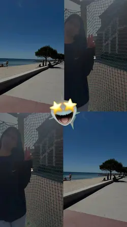 requin été emoji