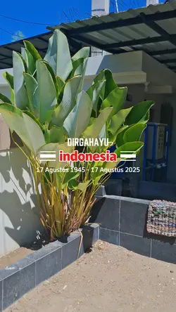 17 Agustus 2025