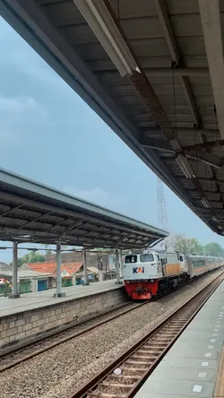 Seluruh kota