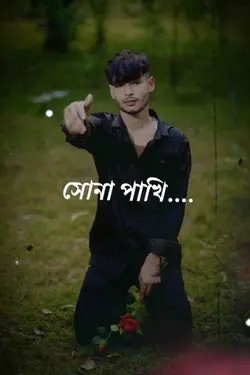 আমার সোনা পাখি