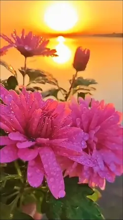 Welcome July 2026