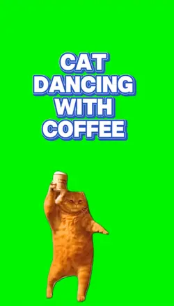 Cat dancing 