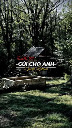 GỬI CHO ANH REMIX 