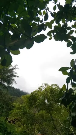 Nature Trip