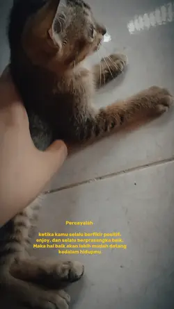 positif