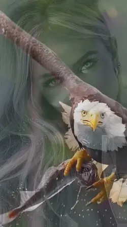 Eagle beauty 