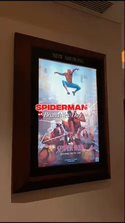 Spiderman brand new