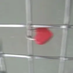 사랑은
