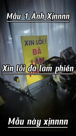 Xin lỗi đã làm phiền
