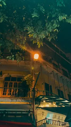 8 clip mưa