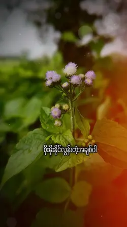 မင်းလက်ခံမှာလား