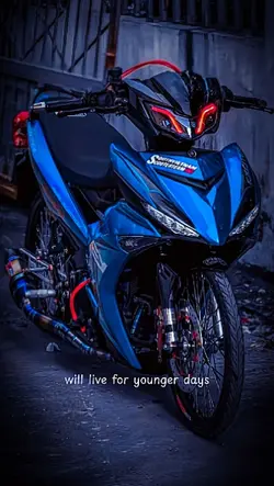 Mẫu 1 ảnh 