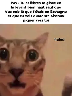 aled