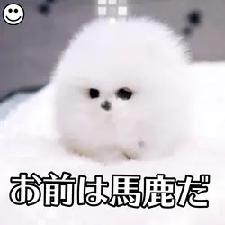 あんた本当に馬鹿ですね