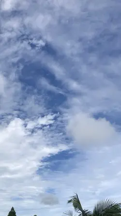 បើខ្លាំងក៏សម្លាប់មក😞😔