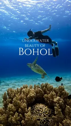 Bohol Underwater