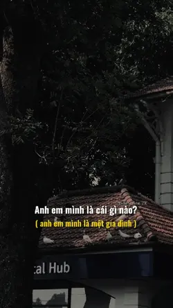 Có hoạ tự chịu
