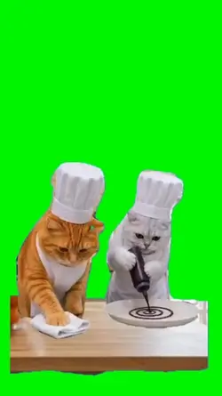 Cat meme 