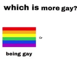 which is more gay?